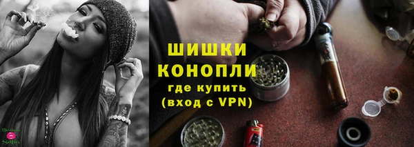 шишки Ростов