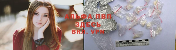 стаф Алексин